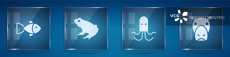 鱼、青蛙、章鱼和河马组合图片素材