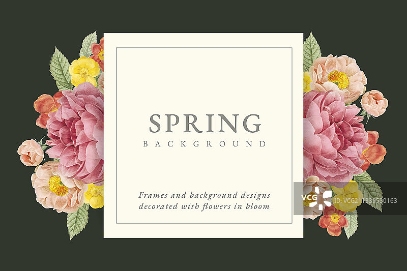 花卉设计背景图片素材