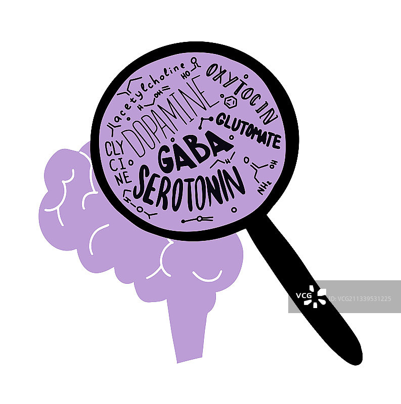 大脑与放大镜和血清素图片素材