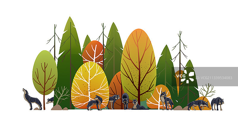 森林狼群捕猎图片素材