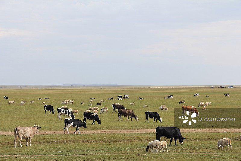 辽阔的呼伦贝尔大草原图片素材