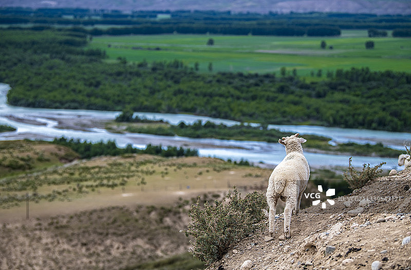家园（新疆巩乃斯河畔）图片素材