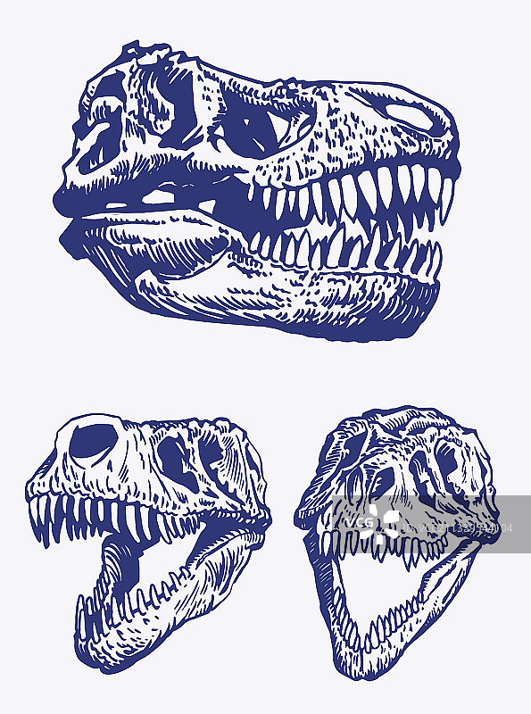 骷髅恐龙波普艺术彩色套装图片素材