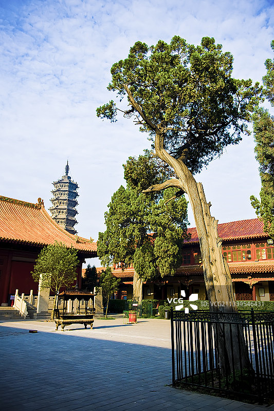 2010-07-03中国，河北省，石家庄市，赵县，柏林禅寺图片素材