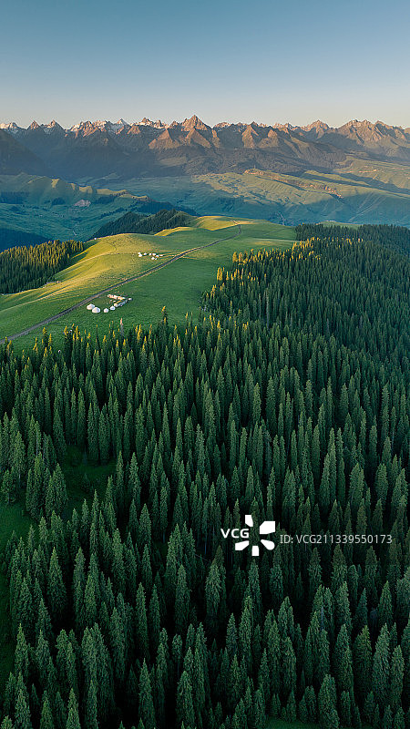 新疆伊犁喀拉峻草原风光图片素材