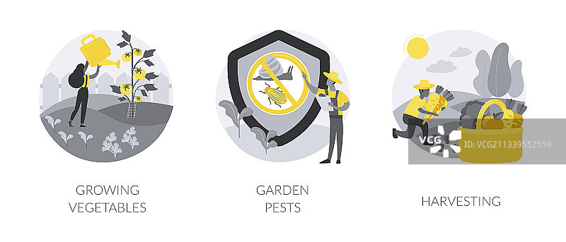 家庭园艺抽象概念图片素材