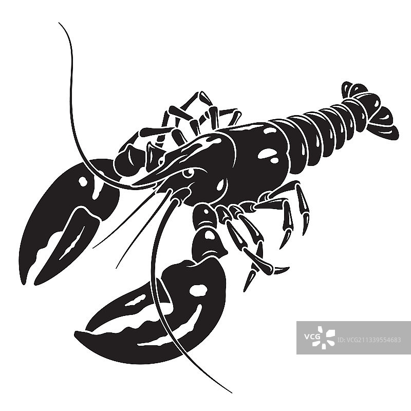 龙虾002图片素材