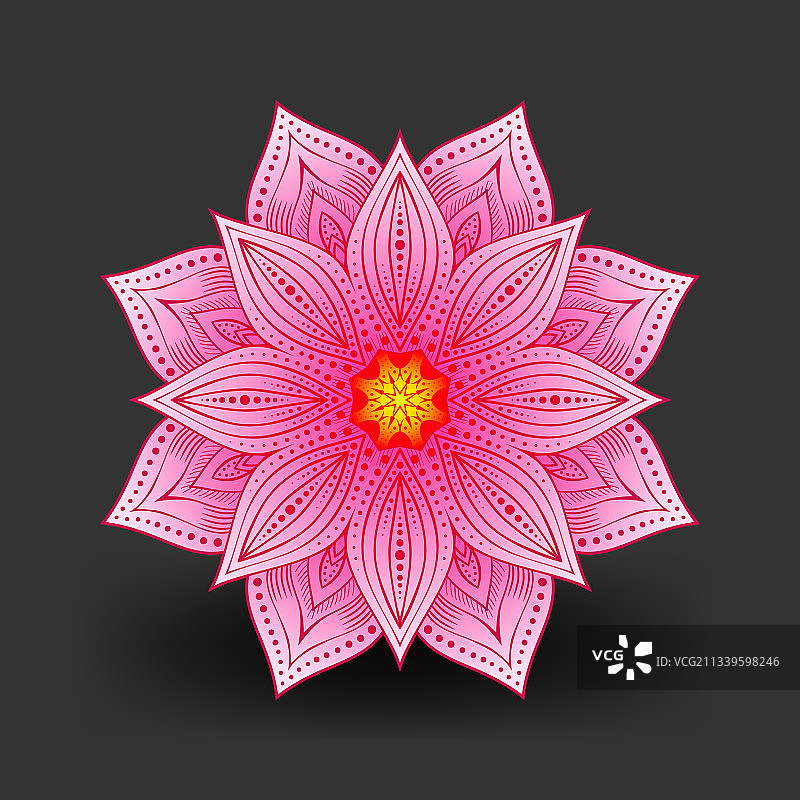 黑色背景上的粉色莲花图案图片素材