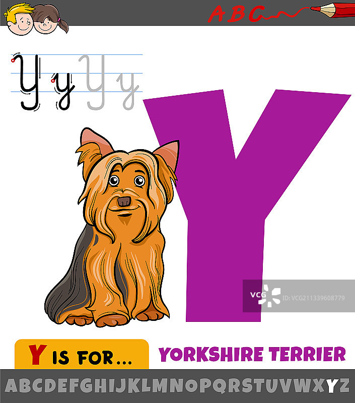 卡通约克夏犬字母Y设计图片素材