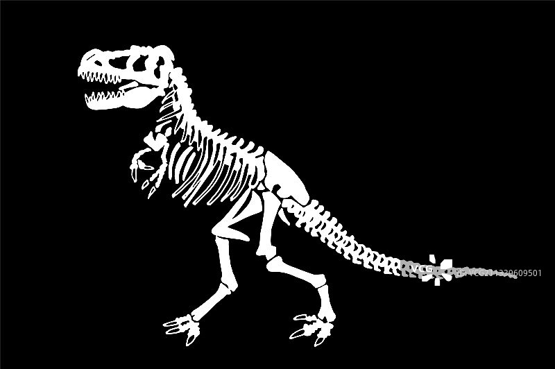 霸王龙骨骼图形图片素材