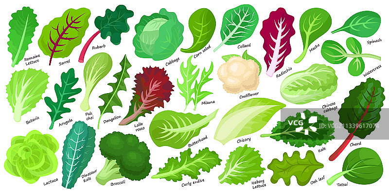 生菜和沙拉卡通图标图片素材