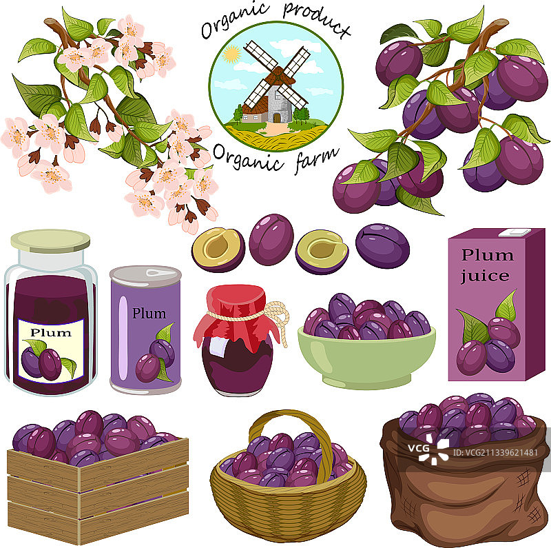 带有李子及其产品的套装图片素材