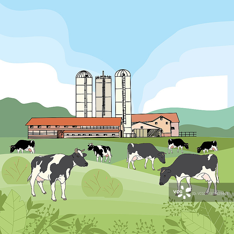 草地上吃草的牛图片素材