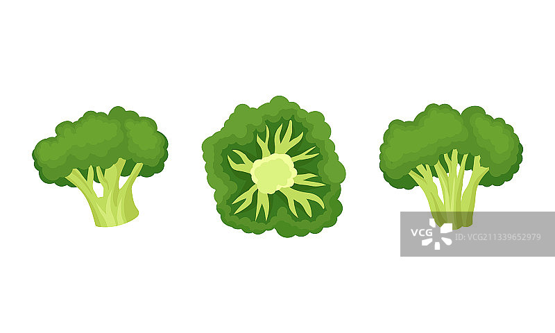 可食用绿色植物西兰花图片素材