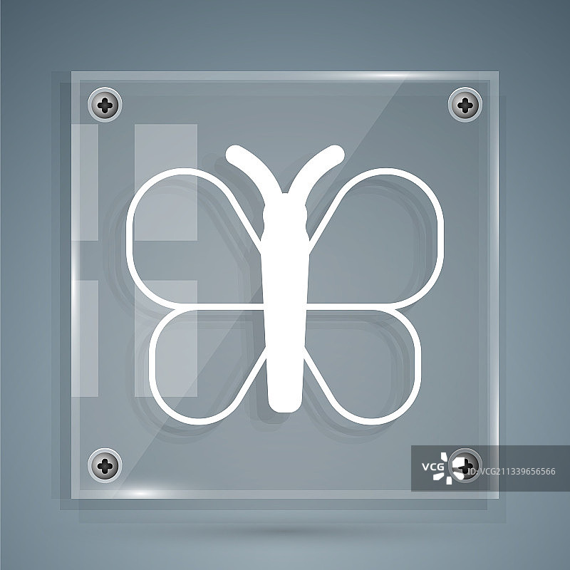 灰色背景上的白色蝴蝶图标图片素材