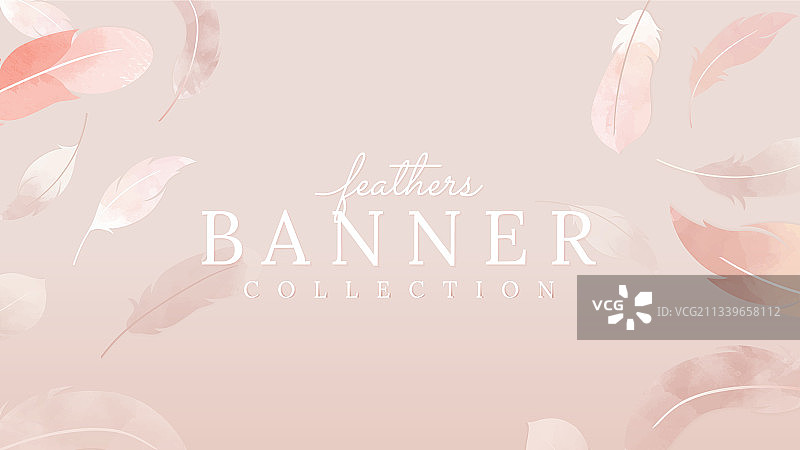 漂浮的羽毛banner图片素材
