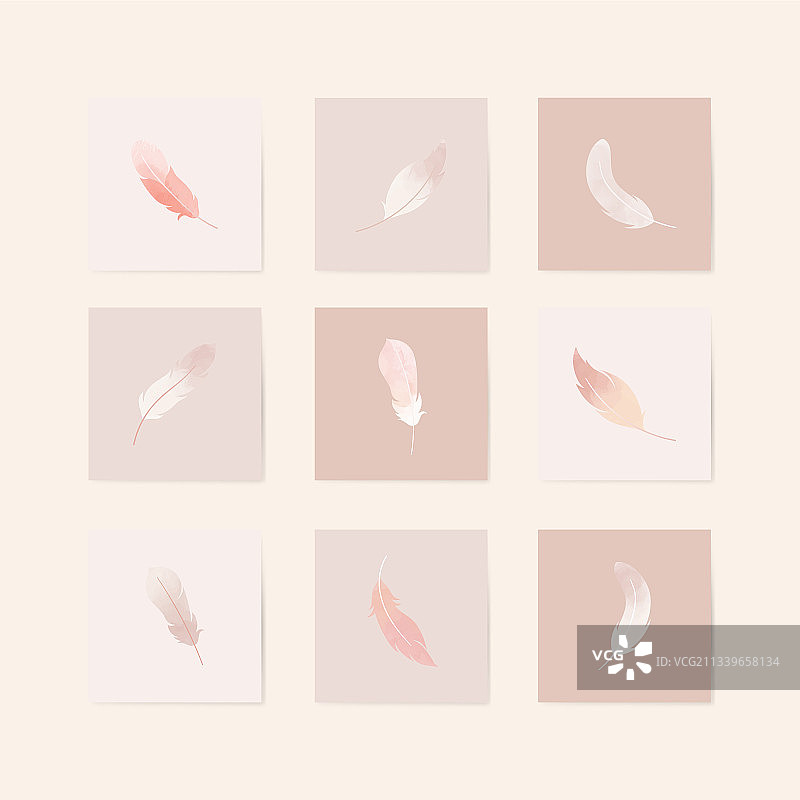 漂浮的羽毛套装图片素材