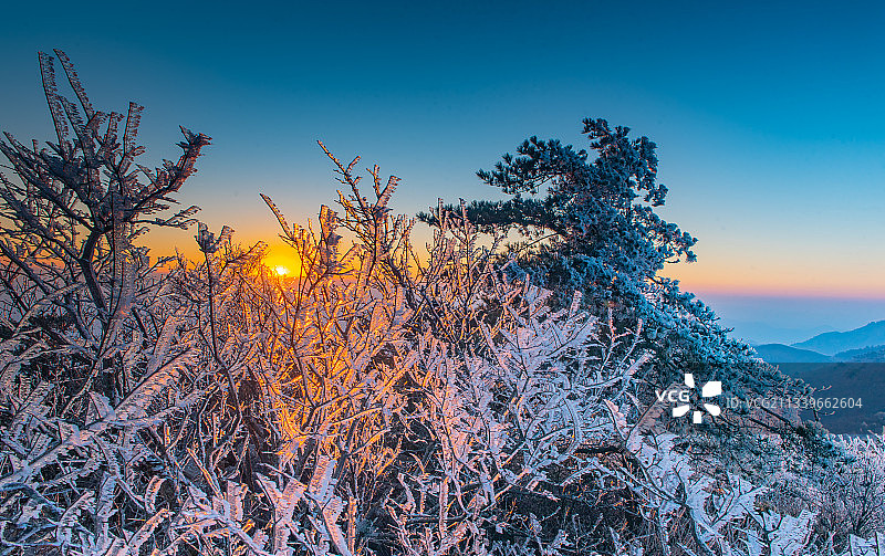 仙人顶雪后日出图片素材