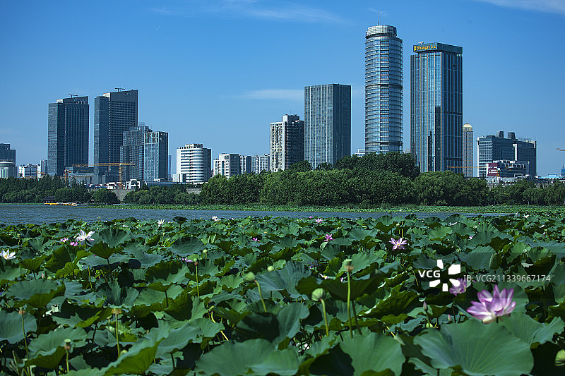 江苏南京市，天空现牛郎会织女奇观图片素材