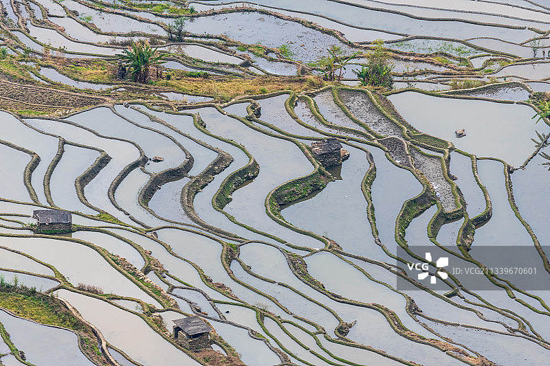 云南元阳老鹰嘴老虎嘴梯田图片素材