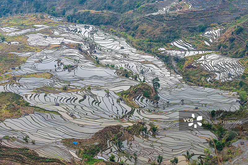 云南元阳老鹰嘴老虎嘴梯田图片素材