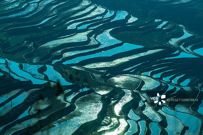 云南元阳老鹰嘴老虎嘴梯田图片素材