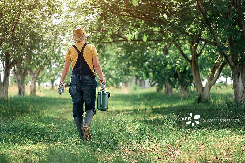 在塞尔维亚有机果园里用喷壶浇水的女农民图片素材