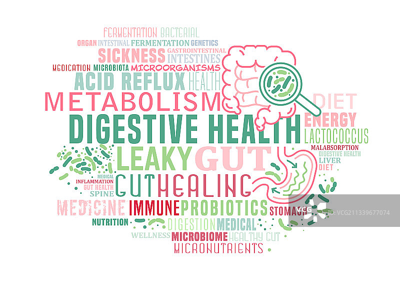 世界消化健康日肠道修复图片素材