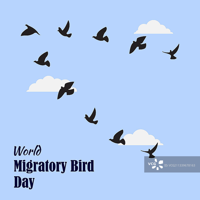 世界候鸟日5月8日图片素材
