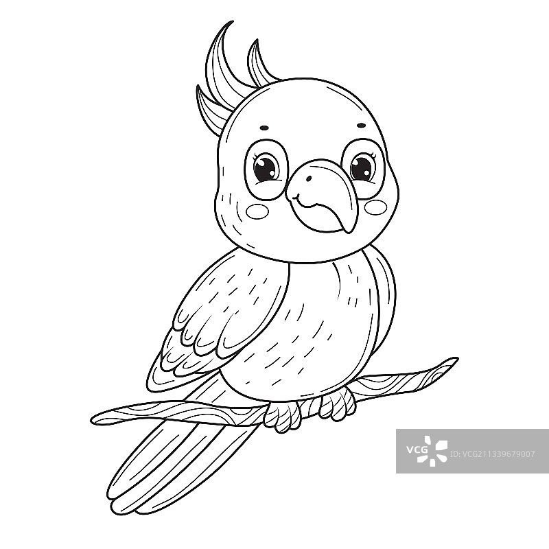 可爱的鹦鹉涂色书线条艺术设计图片素材