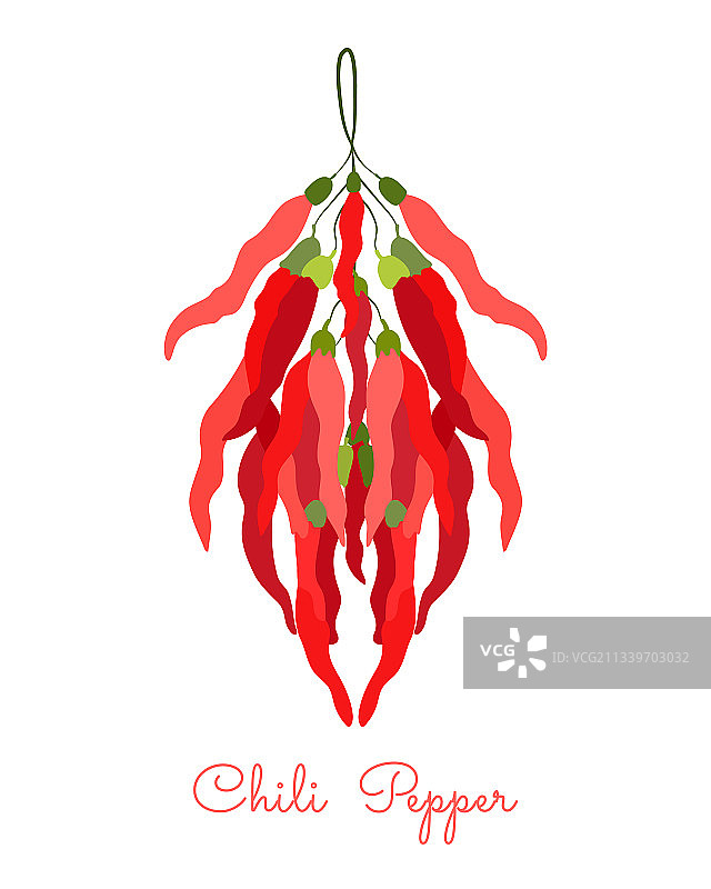 一束白色背景的干辣椒图片素材