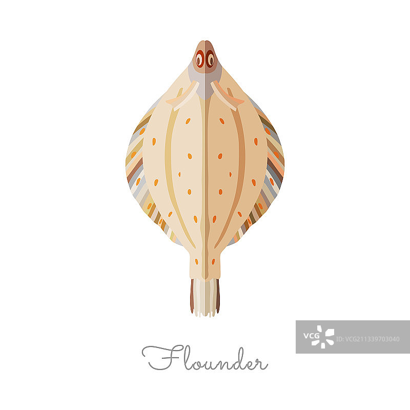 扁平风格的比目鱼图片素材