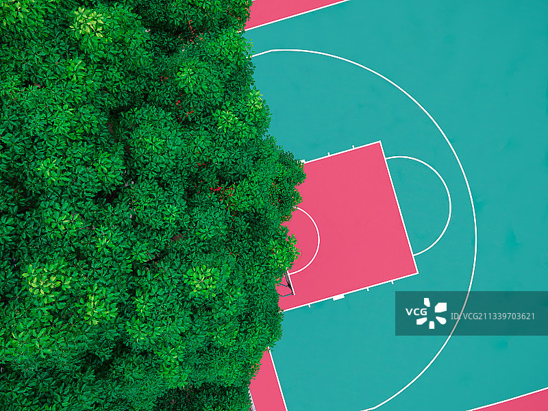 航拍篮球场与大树图片素材