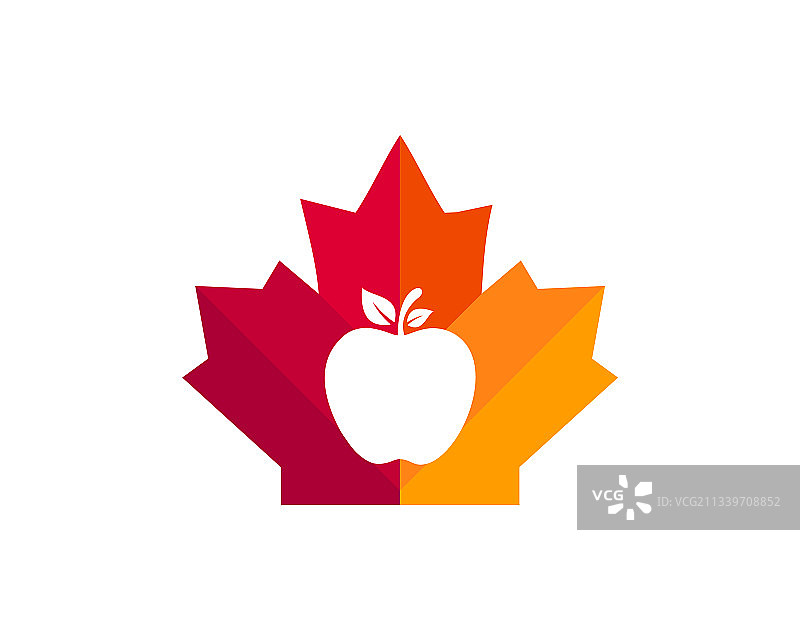 带有苹果标志的加拿大红枫叶图片素材