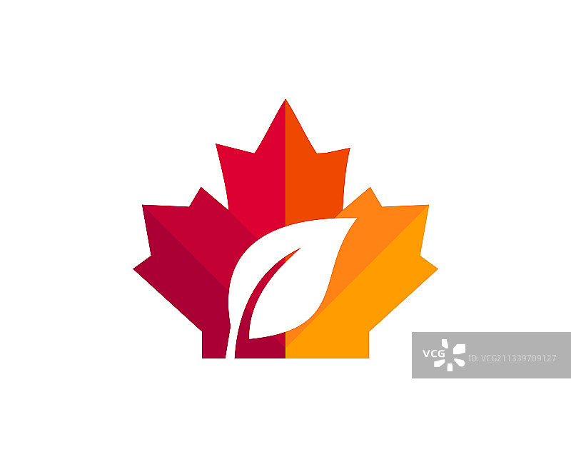 加拿大枫叶Logo设计图片素材