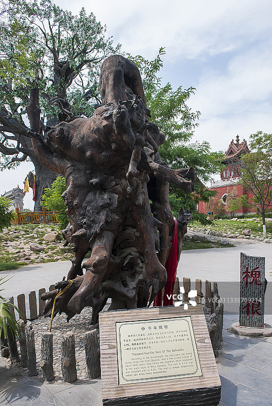 2010-06-19中国，山西省，临汾市，洪洞县，大槐树景区图片素材