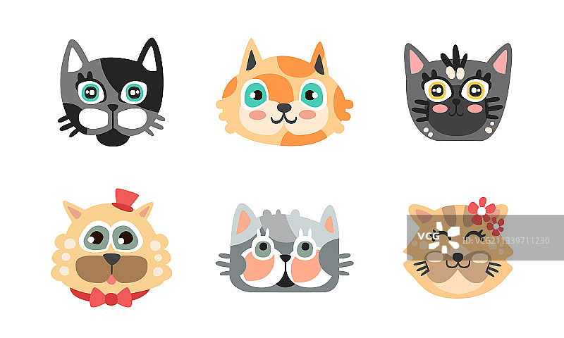 不同的猫嘴和头部有胡须图片素材
