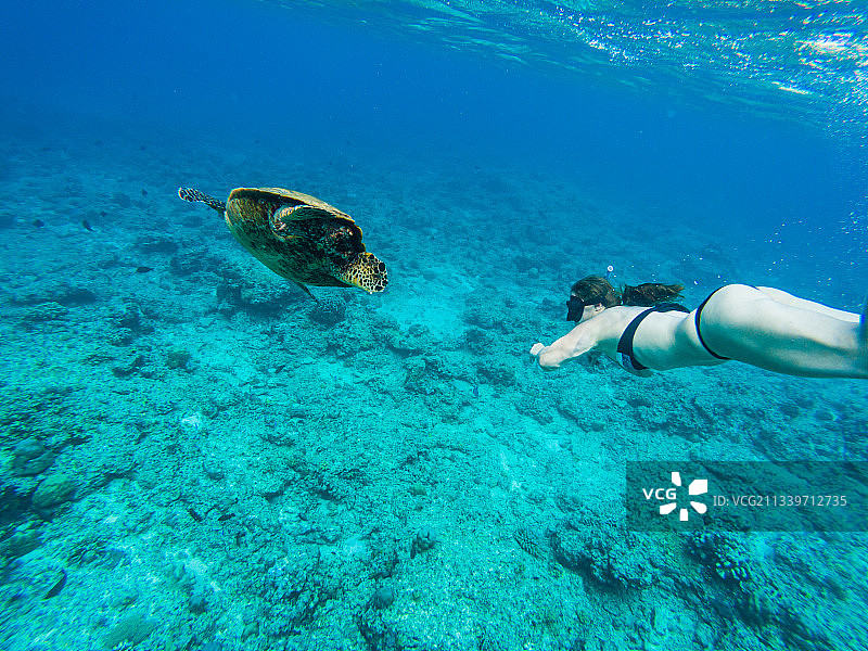 在印度尼西亚吉利特拉旺岸岛海中浮潜的女人图片素材