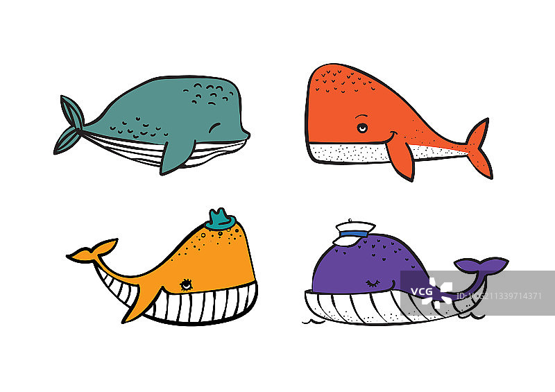 各种海洋动物素材图片素材