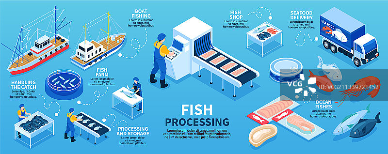 鱼类加工2.5D等距信息图方案图片素材