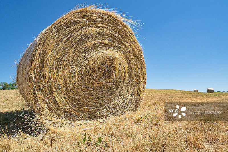 晴朗蓝天下田野里的干草捆特写图片素材