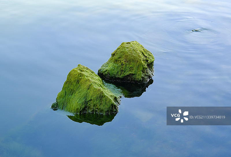 洱海边的绿色礁石图片素材