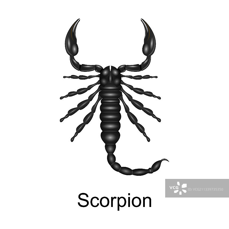 逼真风格的蝎子图标图片素材