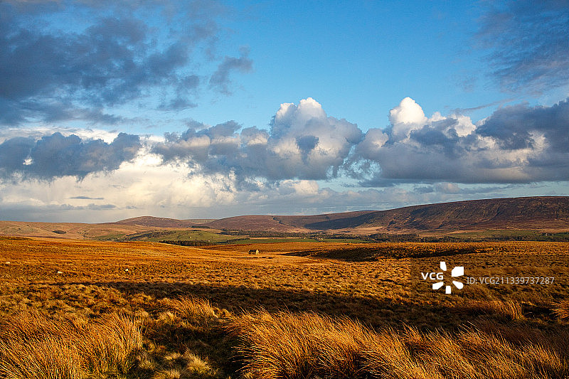 英国兰开斯特的田野风光图片素材