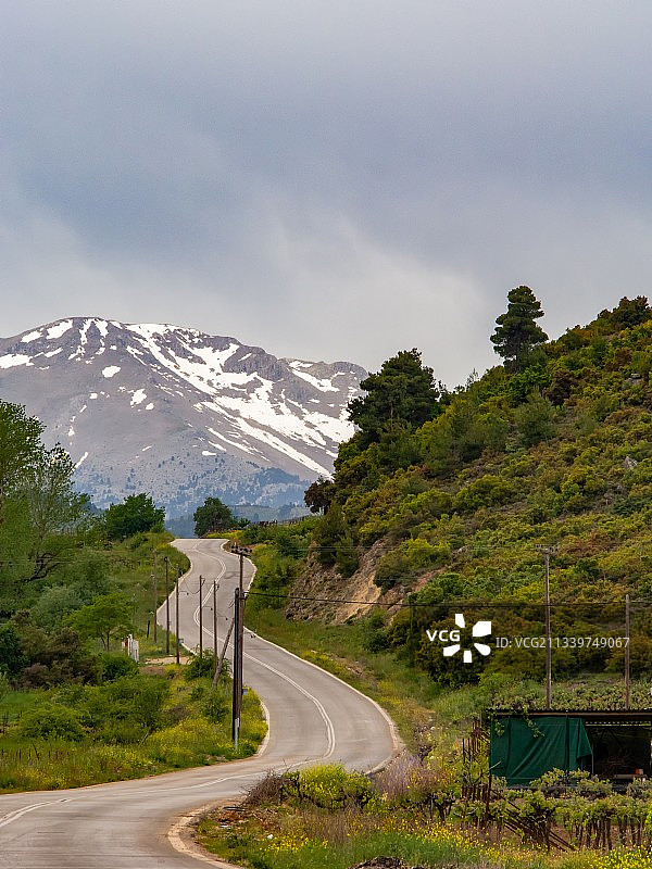 希腊科林西亚的树木与空旷道路图片素材