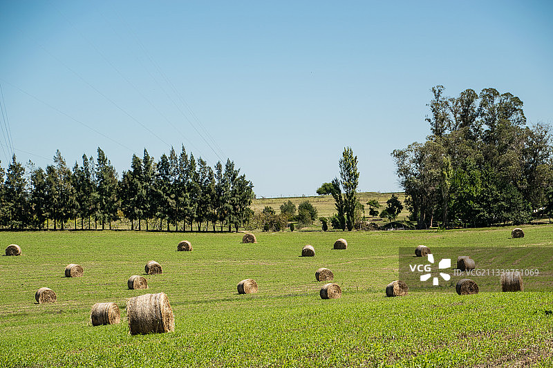 乌拉圭科洛尼亚德尔萨克拉门托田野风光图片素材