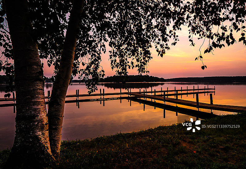 日落时分，明尼苏达州布雷纳德湖边树木剪影图片素材