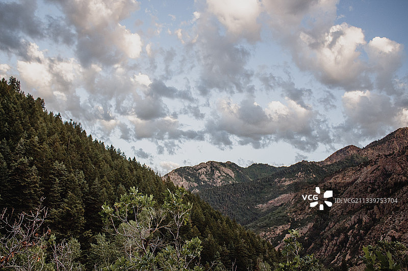 美国犹他州小棉白杨峡谷山脉风光图片素材
