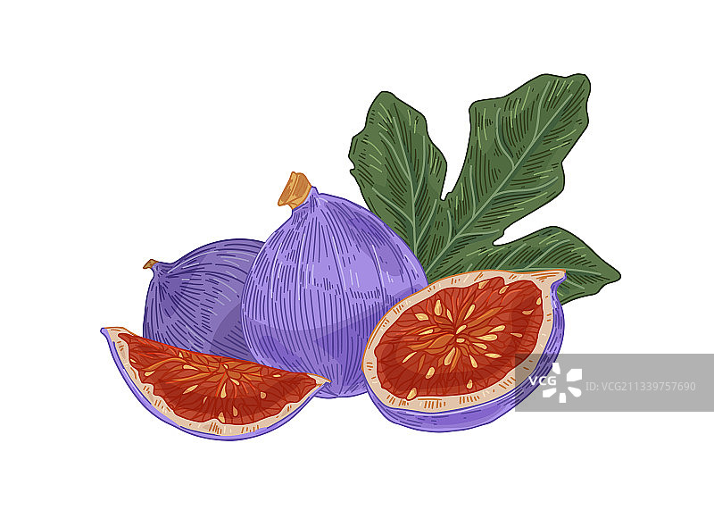 新鲜完整的无花果及其多汁的切块图片素材