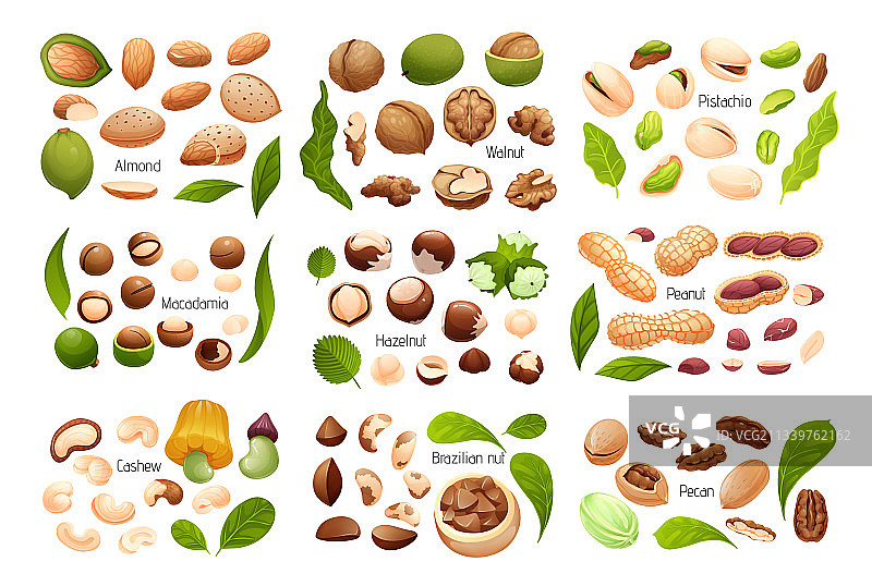 常见坚果分离对象大合集图片素材
